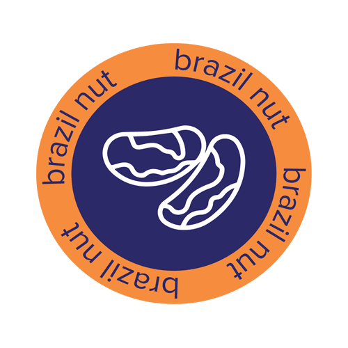 Ajilli-Products-Brazil-Nut