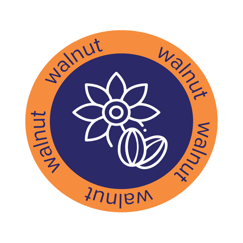 Ajilli-Products-Walnut1